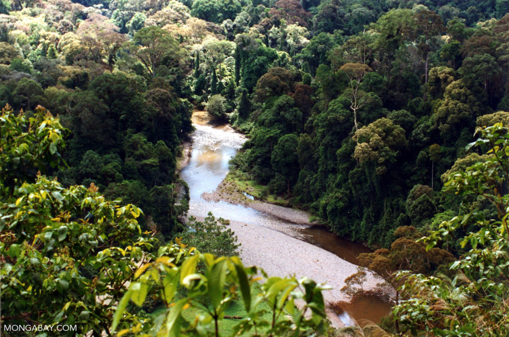 River in Sabah, Malaysian Borneo.